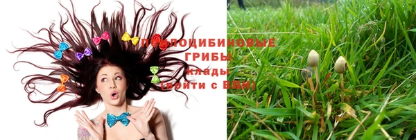 мяу мяу мука Алзамай