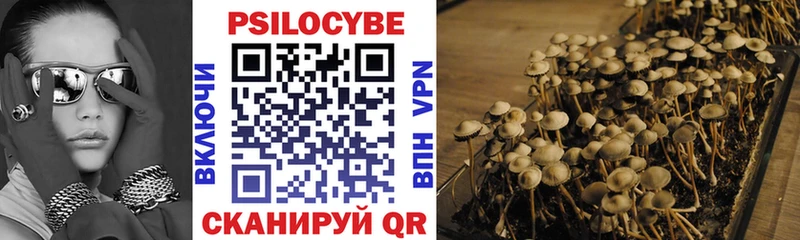 mega онион  Устюжна  Галлюциногенные грибы Psilocybe 